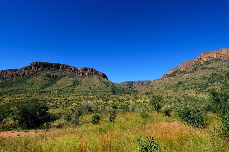 Marakele National Park, Zuid-Afrika